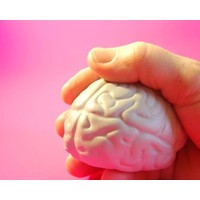 Our brains, our wallets – the field of neuromarketing