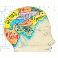 Managing with the brain in mind