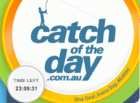 Catch of the Day hits $250 million revenue, and some hurdles