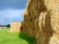 It's time to make hay while the hail falls