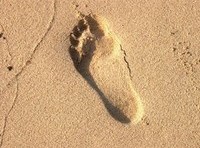 Why you should care about your digital footprint