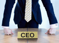 What does the CEO actually do?