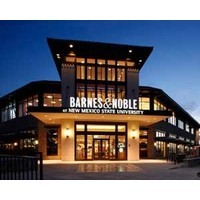 Barnes & Noble, the last big bookshop standing: But for long?