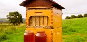 Aussie beekeeper entrepreneurs set record for the most money ever raised on Indiegogo