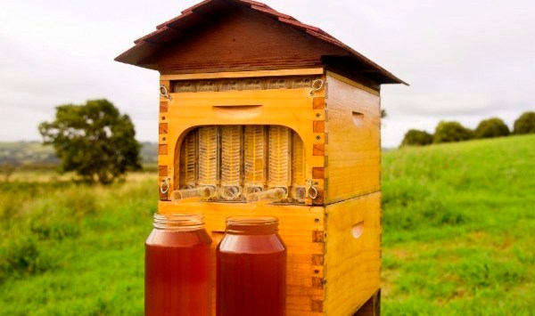 Aussie beekeeper entrepreneurs set record for the most money ever raised on Indiegogo