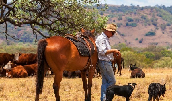 Rich List Kidman family list Australia’s largest private rural landholding