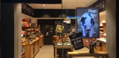 Lush wins retailer of the year: $36 million in turnover all through word-of-mouth advertising