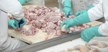 Hardly chicken feed: Poultry producer Baiada to pay $500,000 back to workers underpaid by subcontractors