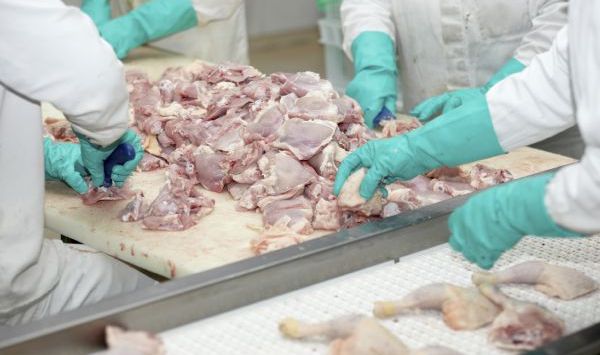 Hardly chicken feed: Poultry producer Baiada to pay $500,000 back to workers underpaid by subcontractors