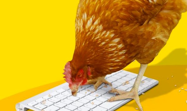 Chicken Treat aims for world first with fowl-mouthed Twitter account: Will pecks appeal sell?