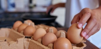 Eggs act standards: Free range egg producers call for urgent reform and clear national guidelines