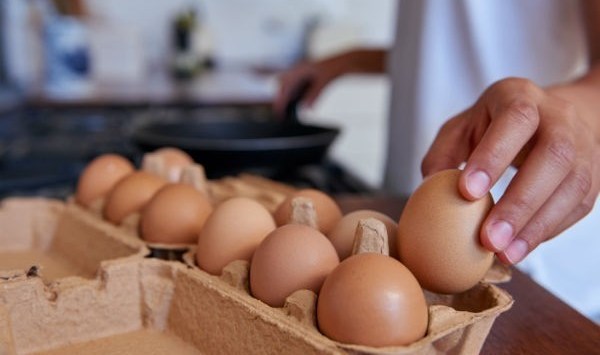 Eggs act standards: Free range egg producers call for urgent reform and clear national guidelines