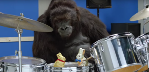 Aldi gorilla ad screenshot