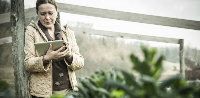 Business owner using a tablet and internet outside