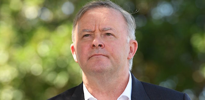 Anthony-Albanese-wants-to-extend-JobKeeper vet