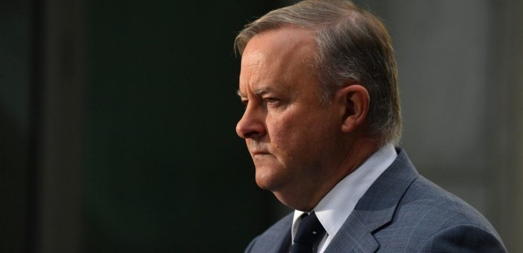 Anthony Albanese income tax