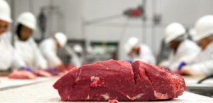 abattoirs-COVID-19-infections meat shortages