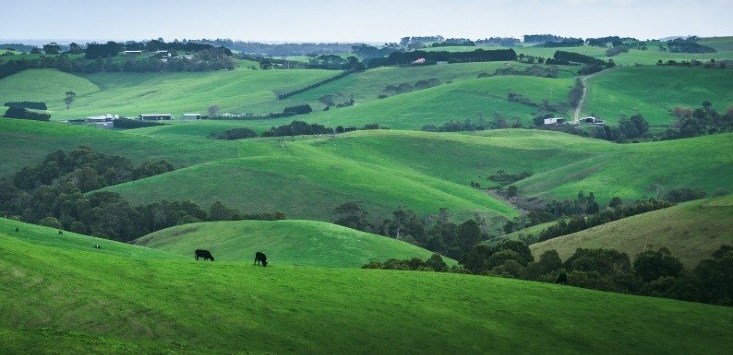 Gippsland