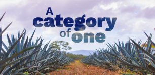 category of one agave