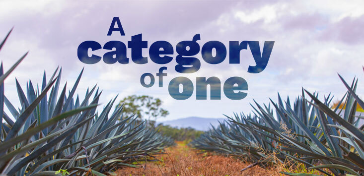 category of one agave