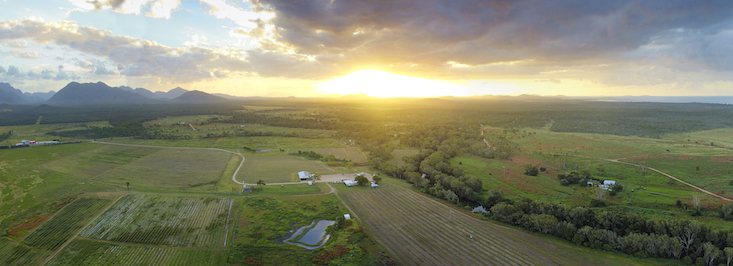 Eden Lassie farm