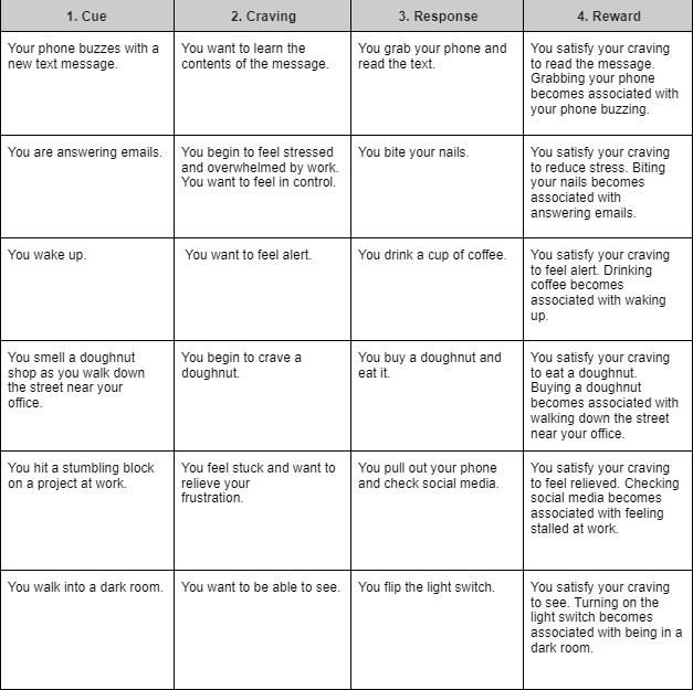 cue-reward-response