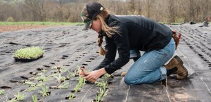 agtech agriculture